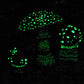 AMANITA TRIO glow in the dark