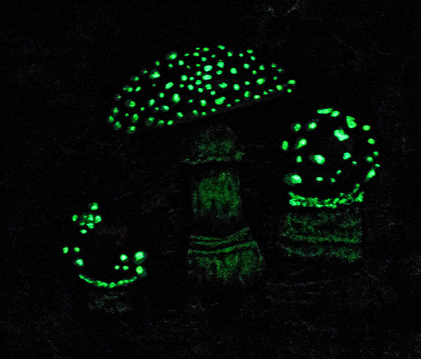 AMANITA TRIO glow in the dark