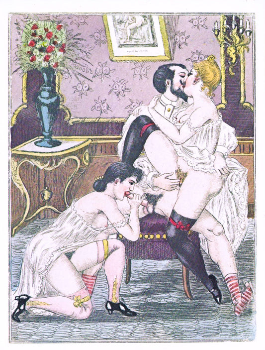 VINTAGE FRENCH ILLUSTRATED MENAGE oversize postcard