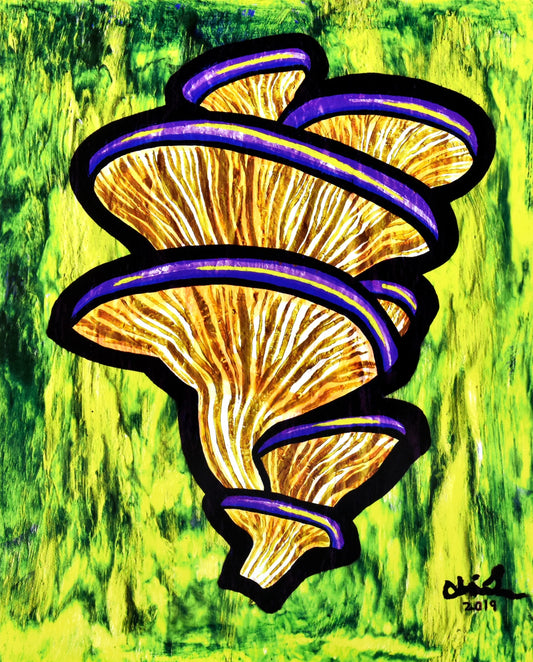 OYSTER MUSHROOMS print 8x10