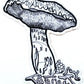 FOREST BOLETE sticker 3x4