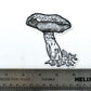 FOREST BOLETE sticker 3x4